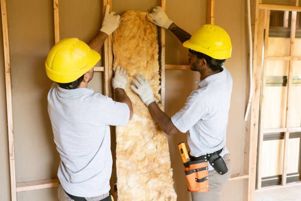 Best Attic Insulation Installation  in Bellair Meadowbrook Terrace, FL